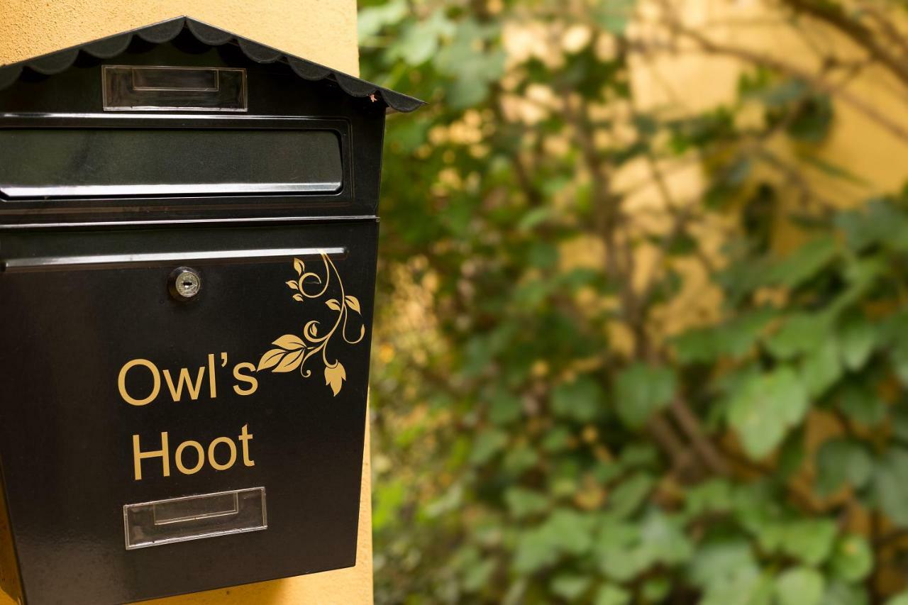 Owl'S Hoot Villa Thorndon ภายนอก รูปภาพ
